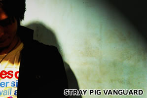 STRAY PIG VANGUARD